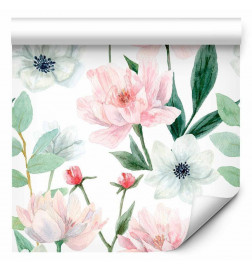 Tappezzeria murale - Peonies on white background