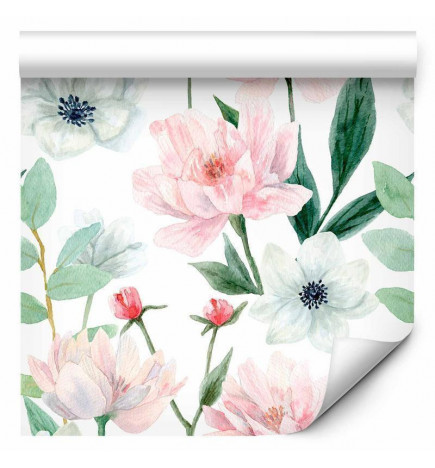 Tapetti - Peonies on white background