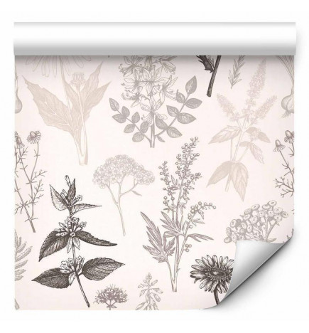 Tapeta - Flowers and herbs in warm greys