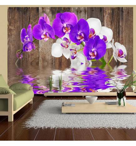 Fotomurale con tante orchidee colorate sul legno - Arredalacasa