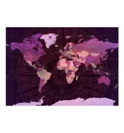 fotomurale adesivo mappamondo viola e rosa Arredalacasa