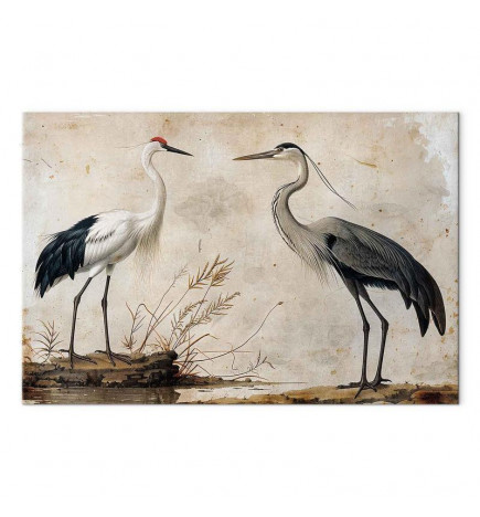 Glezna - Birds from an old engraving - vintage-style illustration depicting a heron and a crane