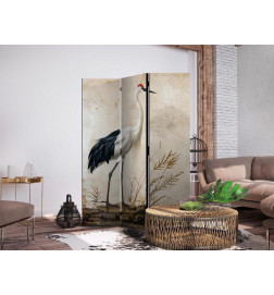 Paravan - Birds from an old engraving - vintage-style illustration depicting a heron and a crane