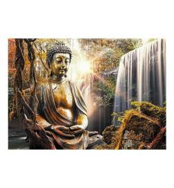 34,00 € www.arredalacasa.com Fotomurale col buddha dorato e una cascata - Arredalacasa