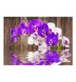 Fotomurale con tante orchidee colorate sul legno - Arredalacasa