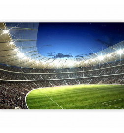 Fototapet - Football pitch - illuminated stadium with crowded stands