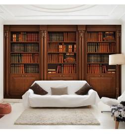 Self-adhesive Wallpaper - Elegant Library