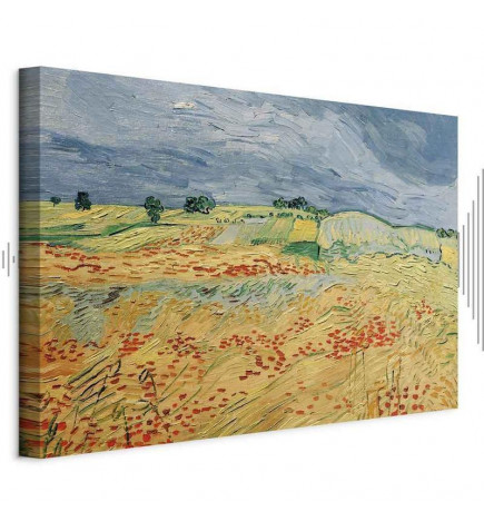 Schilderij - Vincent van Gogh – Fields with Poppies