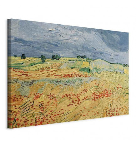 Schilderij - Vincent van Gogh – Fields with Poppies