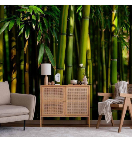 Fototapetas - Eucalyptus alley – bamboo grove in juicy green tone