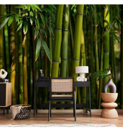 Mural de parede - Eucalyptus alley – bamboo grove in juicy green tone