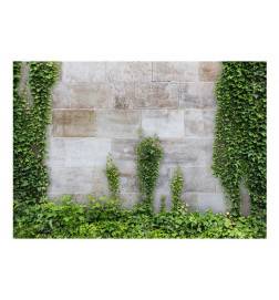 Stenska poslikava z betonskim zidom in travo - Arredalacasa