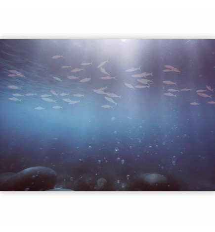 Wall Mural - Fish in the depths