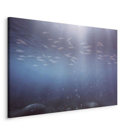 Quadro - Fish in the depths