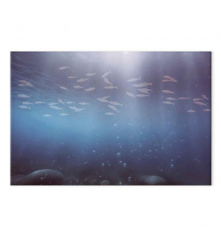 Tableau - Fish in the depths