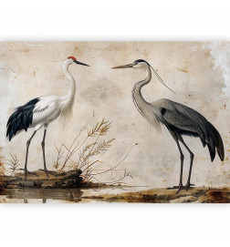 Fotobehang - Birds from an old engraving - vintage-style illustration depicting a heron and a crane