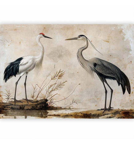 Fotobehang - Birds from an old engraving - vintage-style illustration depicting a heron and a crane