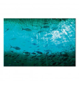 Quadro - A shoal of dark fish