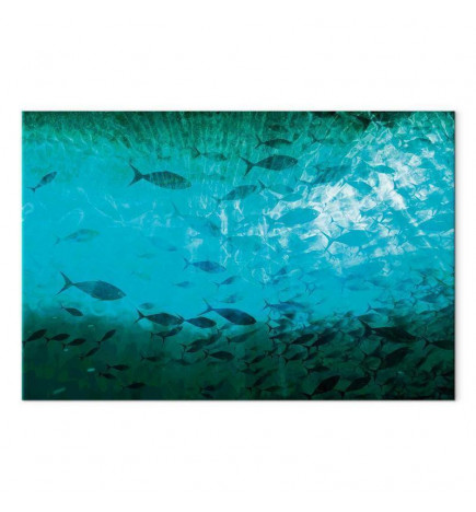 Taulu - A shoal of dark fish