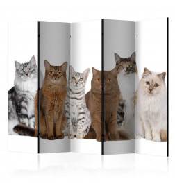 5-teiliges Paravent - Sweet Cats II [Room Dividers]