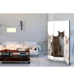 3-teiliges Paravent - Sweet Cats [Room Dividers]