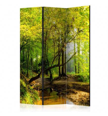 124,00 € 3-teiliges Paravent - Forest Clearing [Room Dividers]