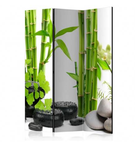 Paravent 3 volets - Bamboos and Stones [Room Dividers]