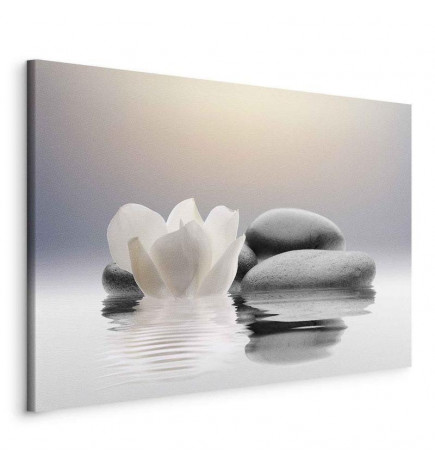 Canvas Print - Garden of Calm