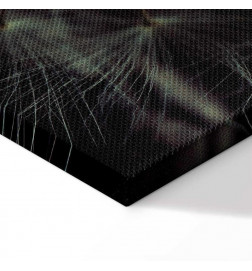 Slika - Last Hope (1 Part) Vertical