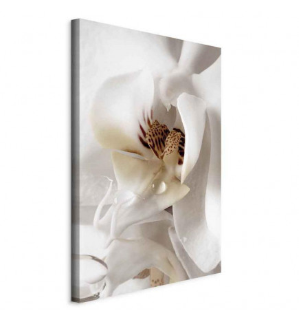 Schilderij - Drop Of Dreams (1 Part) Vertical