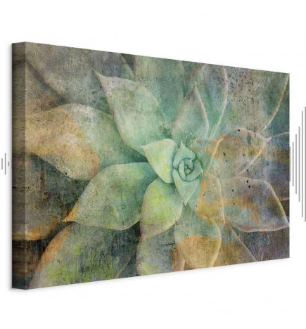 Schilderij - Blooming Tones (1 Part) Wide