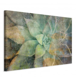 Taulu - Blooming Tones (1 Part) Wide