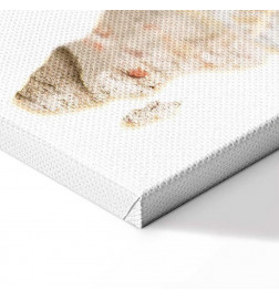 Tableau - Hot Continent (1 Part) Vertical