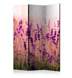 124,00 € 3-teiliges Paravent - Lavender in the Rain [Room Dividers]