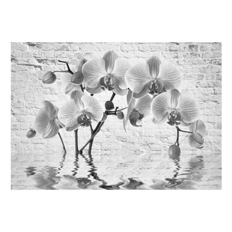 34,00 €Fotomurale con le orchidee grigie sul muro - Arredalacasa