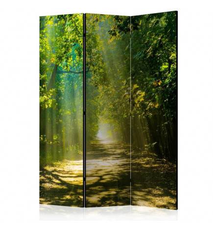 124,00 € 3-teiliges Paravent - Road in Sunlight [Room Dividers]