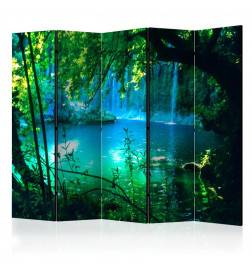 Room Divider - Kursunlu Waterfalls II [Room Dividers]