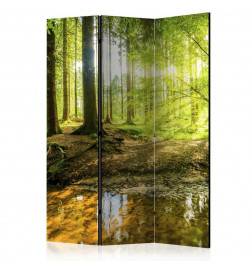 124,00 € Biombo - Forest Lake [Room Dividers]