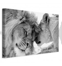 Paveikslas - Lions Love