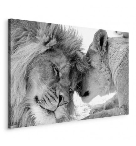 Cuadro - Lions Love