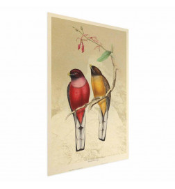 Poster - Birds on a Branch