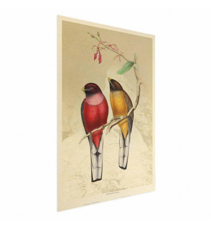 Plakatas - Birds on a Branch