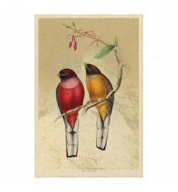 Plakāts - Birds on a Branch