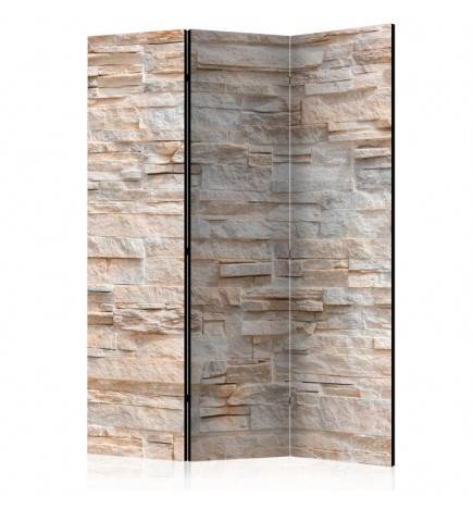 124,00 € 3-teiliges Paravent - Stony Gracefulness [Room Dividers]