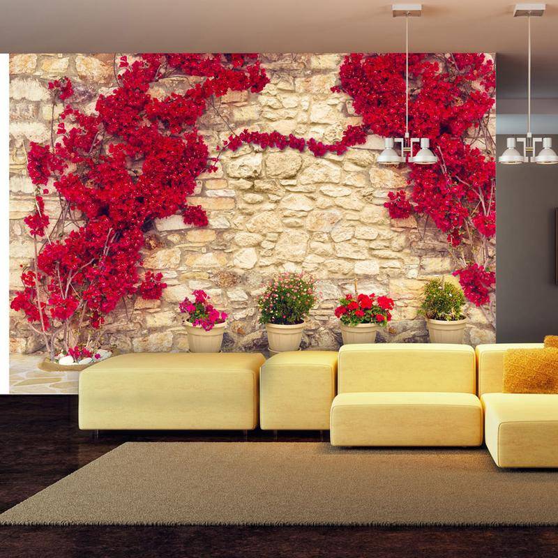 34,00 €Fotomurale con i fiori rossi sul muro - Arredalacasa