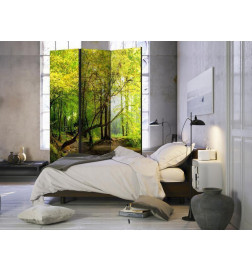 Room Divider - Forest Clearing
