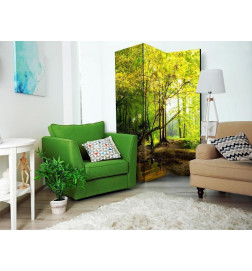 Pertvara - Forest Clearing