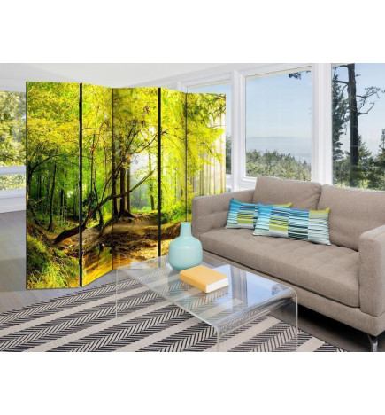 Room Divider - Forest Clearing II