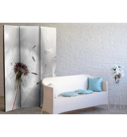 Room Divider - Grasping the Invisible