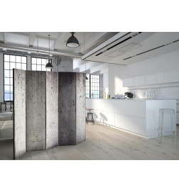 Aizslietnis - Grey City